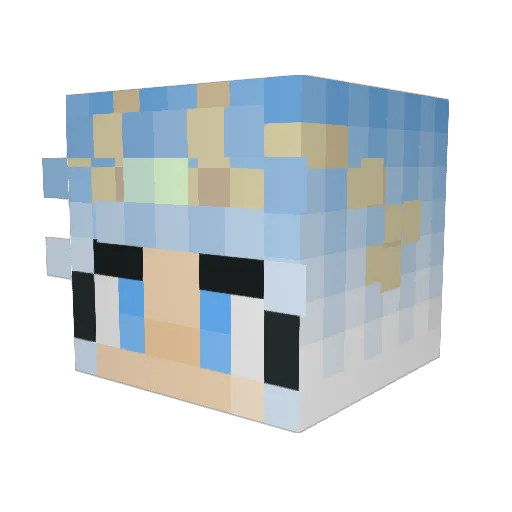 superflowerwater Minecraft avatar head, 3D render