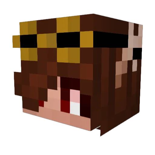 superfuzz64 Minecraft avatar head, 3D render