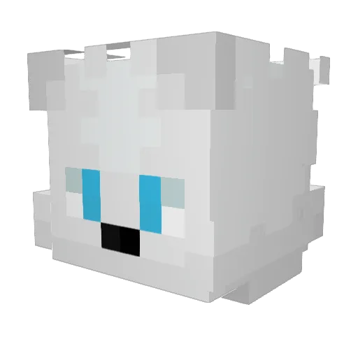 supergamer9500 Minecraft avatar head, 3D render