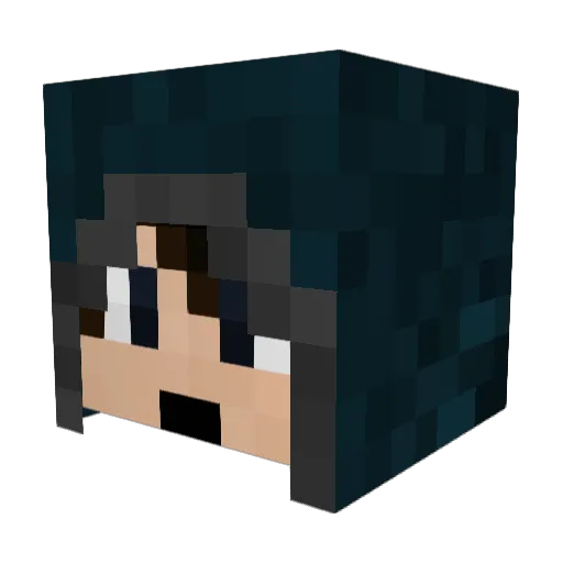 supergod21 Minecraft avatar head, 3D render