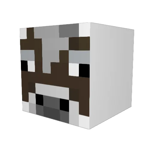 supergruppa4 Minecraft avatar head, 3D render