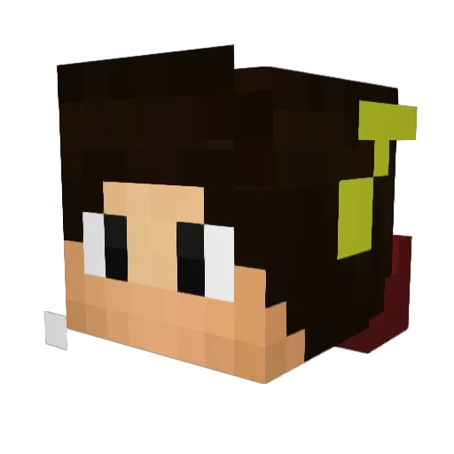 superjanni99 Minecraft avatar head, 3D render