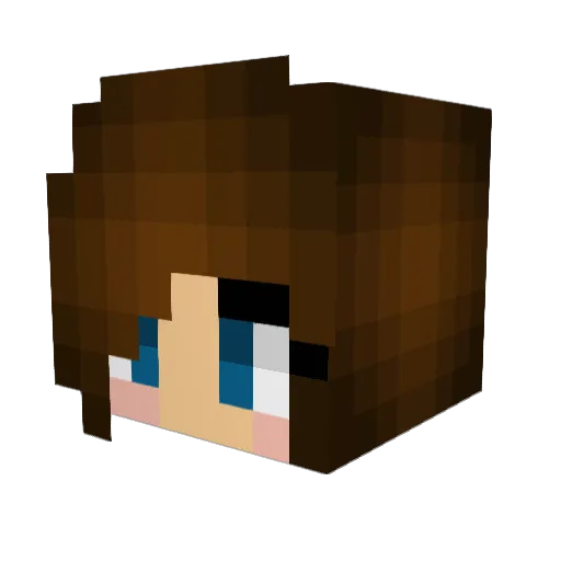 superjay4902 Minecraft avatar head, 3D render