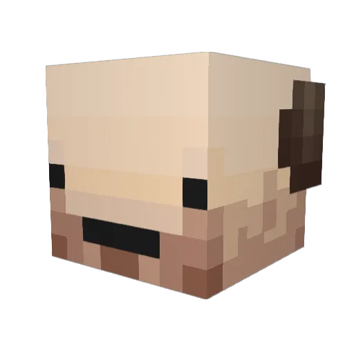 superkilljoo Minecraft avatar head, 3D render