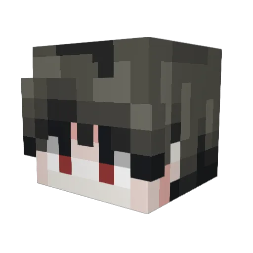 superlion234 Minecraft avatar head, 3D render