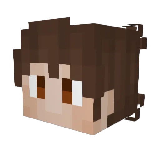 superlloyd11 Minecraft avatar head, 3D render