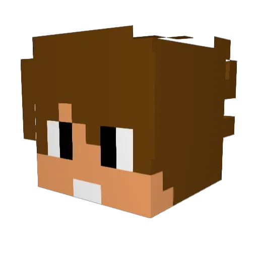 supermagic100 Minecraft avatar head, 3D render