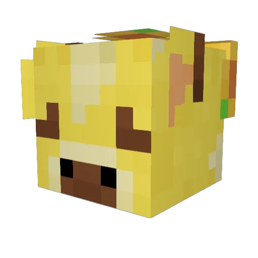 supermarts Minecraft avatar head, 3D render