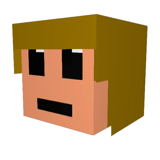 supermary99 Minecraft avatar head, 3D render
