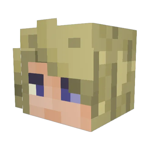 supermaxmax86 Minecraft avatar head, 3D render