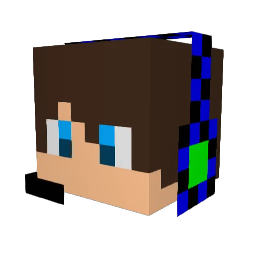 superminer202 Minecraft avatar head, 3D render