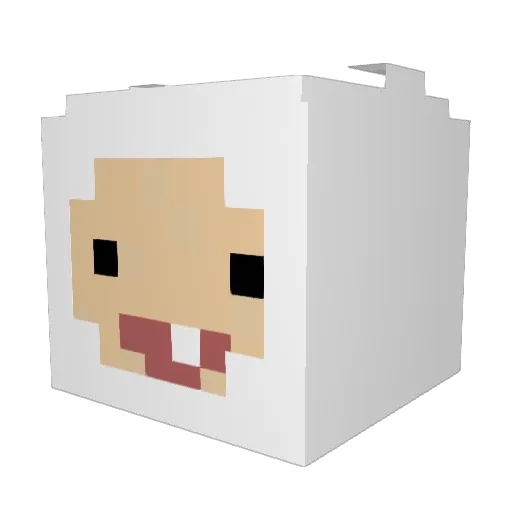 supern00b19 Minecraft avatar head, 3D render