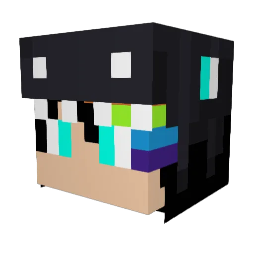 supernate2004 Minecraft avatar head, 3D render