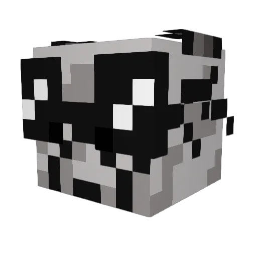 supernick2588 Minecraft avatar head, 3D render