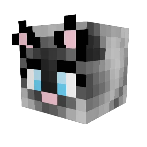 supernicktendo64 Minecraft avatar head, 3D render