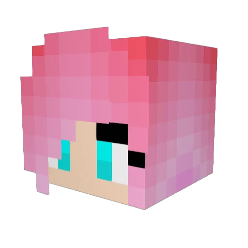 supernicole2001 Minecraft avatar head, 3D render