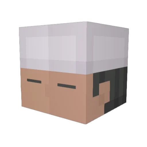 supernikopro Minecraft avatar head, 3D render