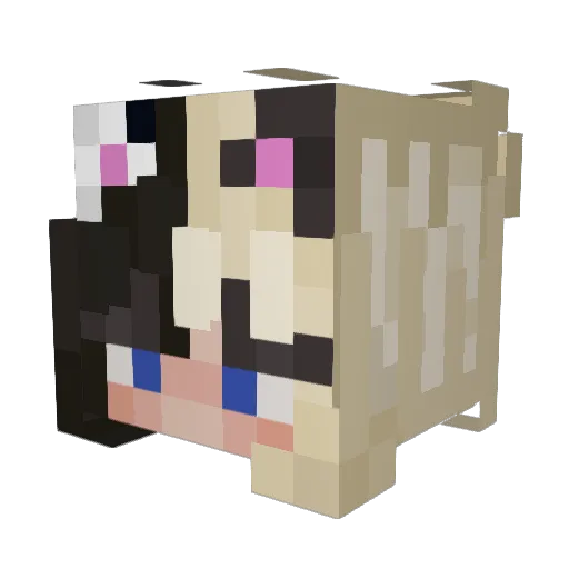 supernoevchen Minecraft avatar head, 3D render