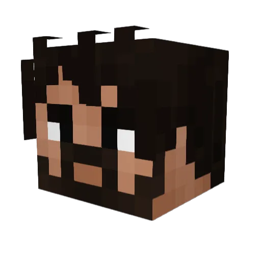 supernova8845 Minecraft avatar head, 3D render