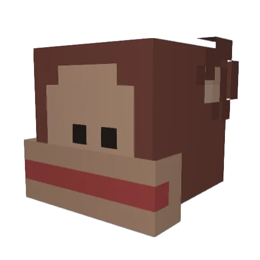 supernova_sam Minecraft avatar head, 3D render