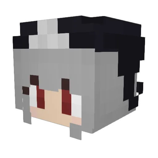 superpermutation Minecraft avatar head, 3D render