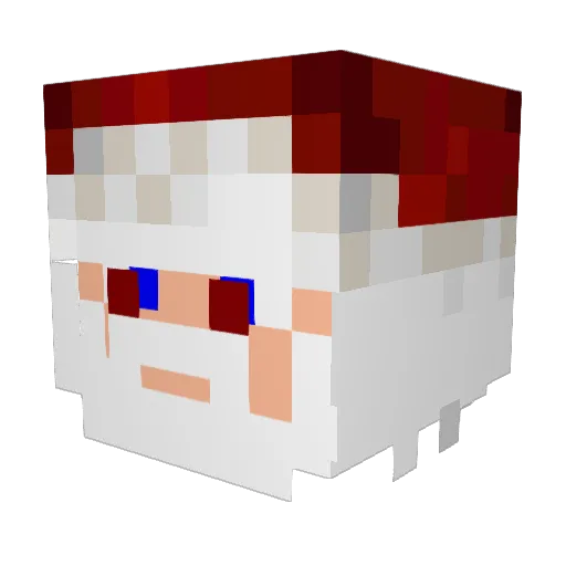 supersantapunch Minecraft avatar head, 3D render