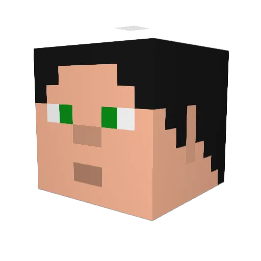 superseduzente Minecraft avatar head, 3D render