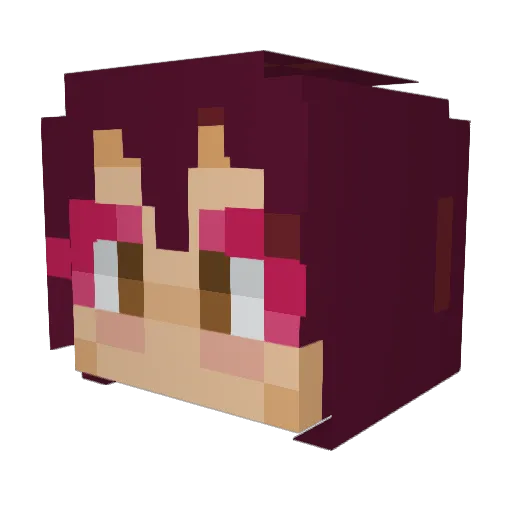 supersillysolly Minecraft avatar head, 3D render