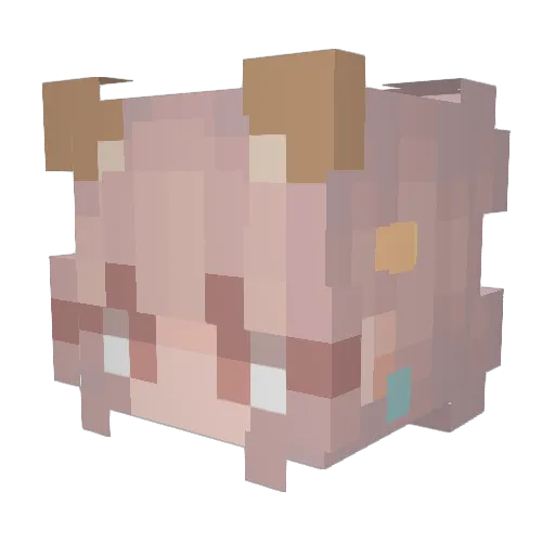 superskoj Minecraft avatar head, 3D render