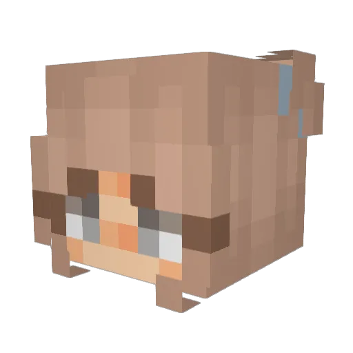 supersman84 Minecraft avatar head, 3D render