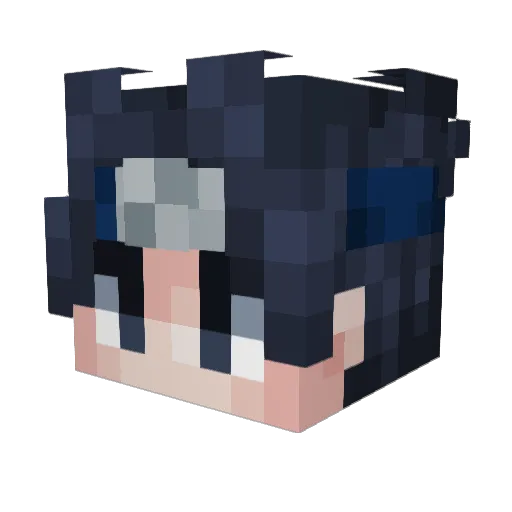 supersomeone1 Minecraft avatar head, 3D render