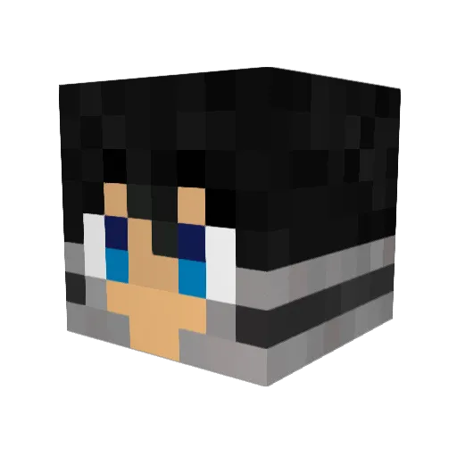 supersonic336 Minecraft avatar head, 3D render