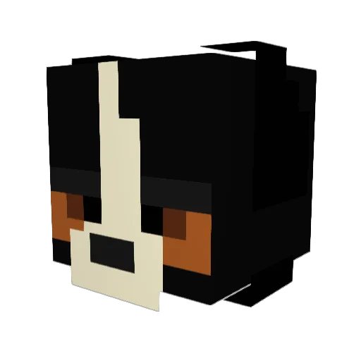 supersonicboom12 Minecraft avatar head, 3D render