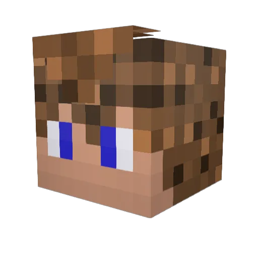 supersoups Minecraft avatar head, 3D render