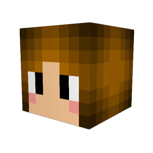 superstevie2004 Minecraft avatar head, 3D render