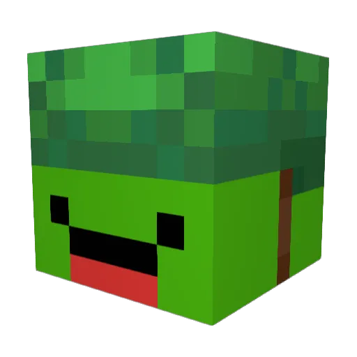 supersumo1235 Minecraft avatar head, 3D render