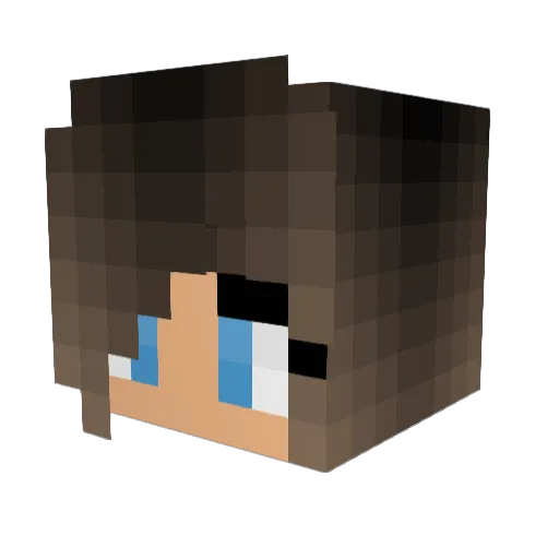 supersun96 Minecraft avatar head, 3D render