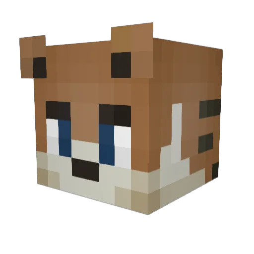 supertigre21 Minecraft avatar head, 3D render