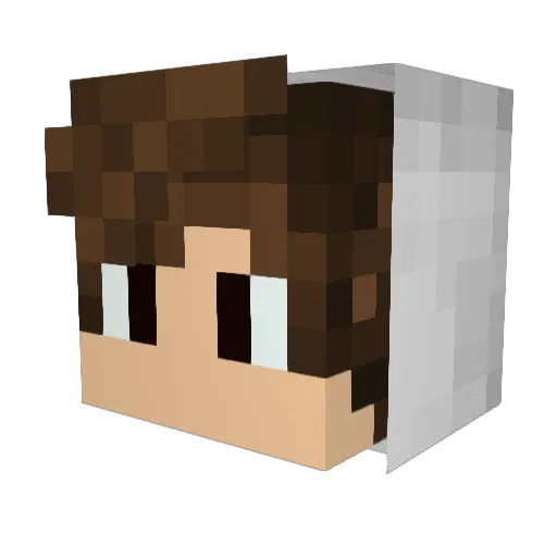supertilo Minecraft avatar head, 3D render