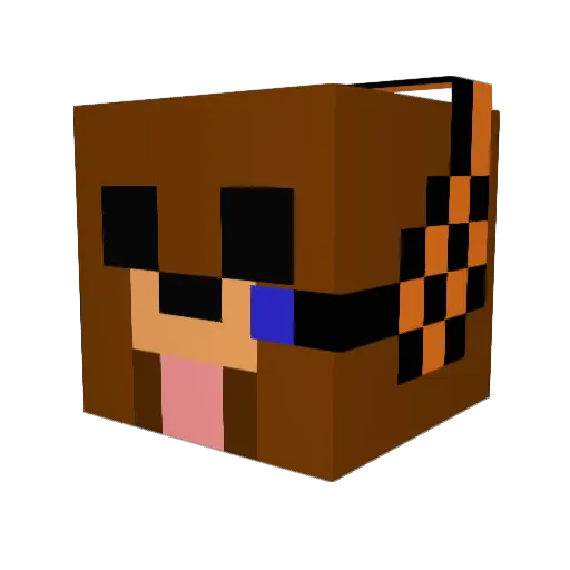 supertoxywtf Minecraft avatar head, 3D render