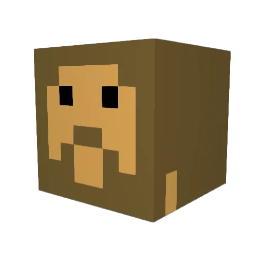 supertroll11 Minecraft avatar head, 3D render