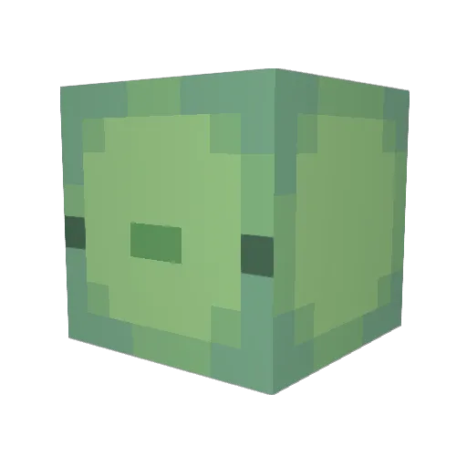 superturtle6 Minecraft avatar head, 3D render