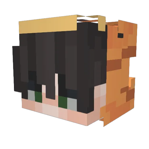 superwmelongirl Minecraft avatar head, 3D render