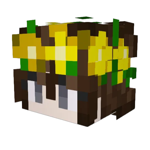 superzeehond_ Minecraft avatar head, 3D render
