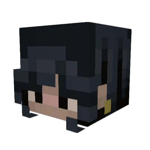 supliv23 Minecraft avatar head, 3D render