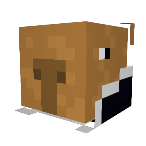 supplgh Minecraft avatar head, 3D render