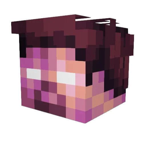 supramawo Minecraft avatar head, 3D render