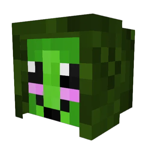 supreme_avocado Minecraft avatar head, 3D render