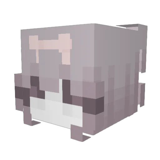 supreme_tacoman Minecraft avatar head, 3D render