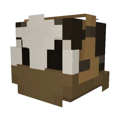 supremefart55 Minecraft avatar head, 3D render